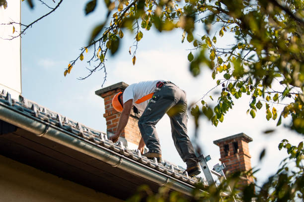 Best Gutter Installation and Roofing  in Harbor Bluffs, FL