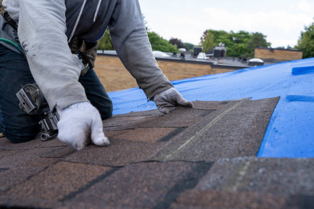 Best Residential Roofing Contractor  in Harbor Bluffs, FL