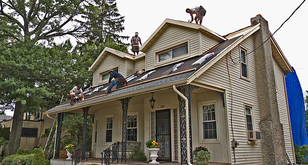 Best Roof Replacement Cost  in Harbor Bluffs, FL